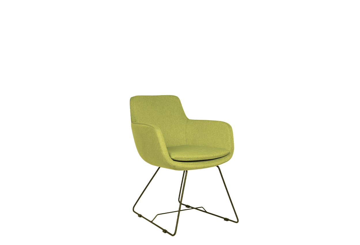 Molo